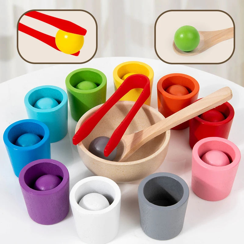 Montessori Ballen & Bekers Sorteerspel - KIDOO KIDS