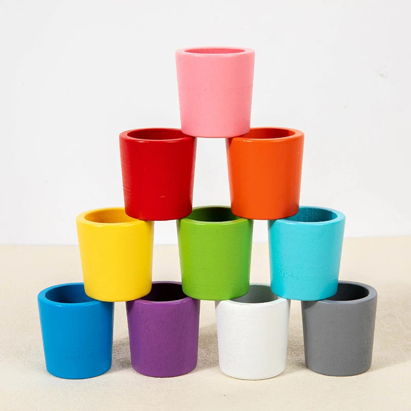 Montessori Ballen & Bekers Sorteerspel - KIDOO KIDS