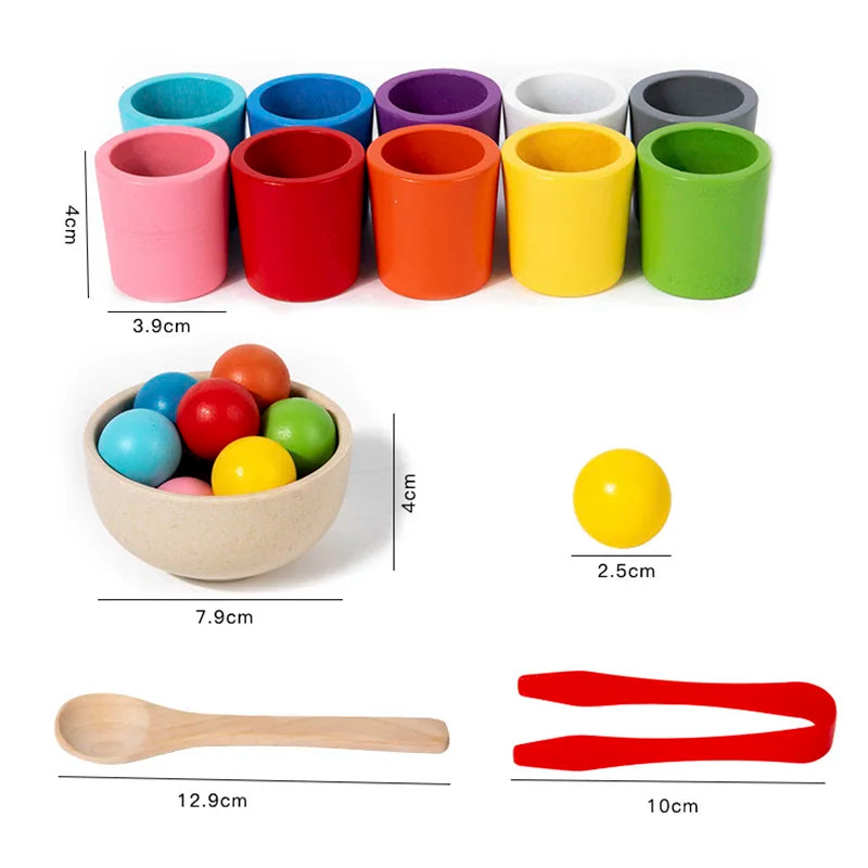 Montessori Ballen & Bekers Sorteerspel - KIDOO KIDS